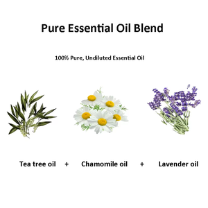 Huile essentielle d'aromathérapie <span class=keywords><strong>de</strong></span> haute qualité Avantages multiples Huile essentielle rafraîchissante naturelle - Product Image 3