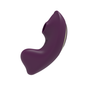 Mier Saugvibrator 10-Gang Vibrierender Klitoris-Stimulator mit Saugfunktion Fernbedienung Aufladbarer Vibrator für Frauen Sexspielzeug - Product Image 4