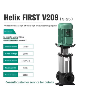 <span class=keywords><strong>Pompa</strong></span> Centrifuga Verticale Multistadio HELIX FIRST di Qualità Tedesca, Realizzata in Ghisa con Alta Prevalenza e Alta Potenza - Product Image 3
