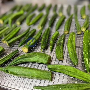 Pompe à chaleur pour séchoir à légumes (choux-fleurs, asperges, laitues) avec contrôle de la température - Product Image 3