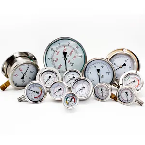 Hot Sale 40 63mm 0-16 Psi Stainless Steel Case Oil Filled Pressure Gauge Fuel Pressure Gauge