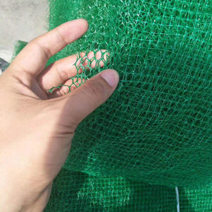 Réseau de végétation Geomat multicouche à bas prix et de bonne qualité Géomat en plastique 3D personnalisé pour le verdissement du paysage - Product Image 2