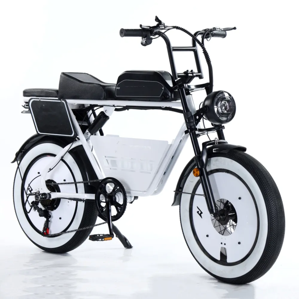 A buon mercato 20 pollici 48v bici elettrica da città pieghevole 2 posti E-Bike 500w 1000W batteria al litio 1500W E-bike bicicletta elettrica