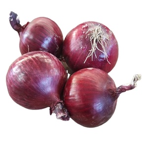 Red <strong>Onion</strong> 50/70mm New Crop Fresh <strong>Onion</strong> <strong>China</strong> <strong>Export</strong> - Product Image 1