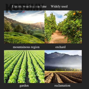 Máy làm cỏ điện Máy làm cỏ nông nghiệp có thể sạc lại Máy làm cỏ đất nông nghiệp Dụng cụ làm cỏ đất nông nghiệp - Product Image 4