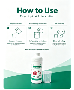 Soluzione Orale Espettorante Veterinaria Antitussiva Liquido per la Rimozione del Muco per Suini, Ruminanti, Pollame - Trattamento per la <span class=keywords><strong>Tosse</strong></span> in Allevamenti - Product Image 6