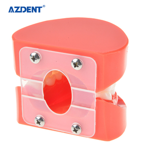 Modello Dentale in Plastica di Alta Qualità <span class=keywords><strong>Standard</strong></span> - Product Image 4