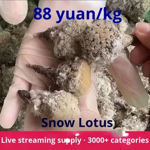 Merci <span class=keywords><strong>di</strong></span> montagna tibetane autentica neve fiori secchi <span class=keywords><strong>di</strong></span> loto lavorazione <span class=keywords><strong>di</strong></span> specialità locali all'ingrosso Dropshipping - Product Image 3