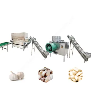 Linea di lavorazione della pelatura dell'aglio della sbucciatrice dell'aglio indiano linea di lavorazione industriale della polvere dell'aglio