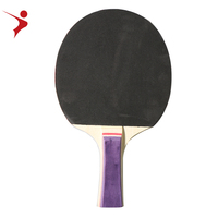 Ensemble de raquettes de tennis de table Cehap deux et 3 balles fabricants de raquettes de ping-pong vente directe