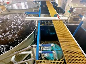 Système complet d'aquaculture d'élevage de crevettes tigrées d'eau douce entièrement automatique en intérieur, projet de 50 tonnes - Product Image 3