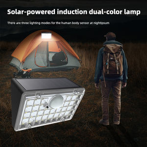 Lámpara de Jardín LED Pequeña a Precio de Fábrica, Impermeable, 3.7V, con Sensor de Movimiento, Apta para Patio y Puerta - Product Image 4