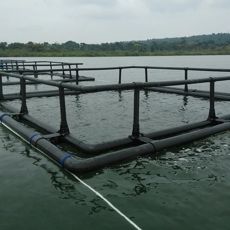 Filet de pêche agricole en plastique, haute qualité, avec filet HDPE, Cage carrée, piège à poissons