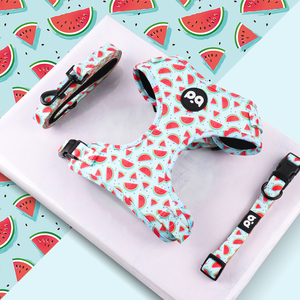 Arnés ajustable para mascotas de alta calidad al mejor precio, diseño personalizado con acolchado duradero de nailon, neopreno y poliéster para perros - Product Image 2