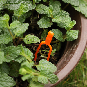 Prensa para plantas de plástico con 2 puntas, color naranja, 6.5 cm, para entrenamiento de plantas de jardín, enraizamiento y fijación de plántulas - Product Image 2