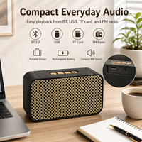Retro Metall-Mesh BT 5.3 Lautsprecher 8W Kompakter Tragbarer Audio-Player mit TF USB FM für Reisen Großhandel OEM ODM