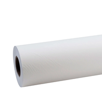 Rouleau de structure souple Tyvek de DuPont pour la protection des œuvres d'art des musées, housses anti-poussière, pochettes, sacs à vêtements et sacs de rangement