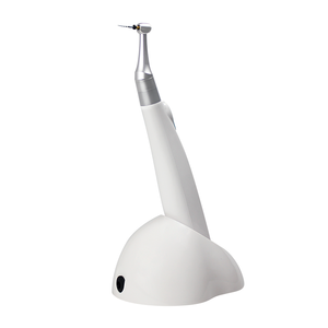Ingrosso rotativo endomotore dentale trattamento endodontico dentale <span class=keywords><strong>Endo</strong></span> motore dentale Cordless canale radicolare <span class=keywords><strong>Endo</strong></span> motore rotativo - Product Image 6