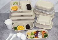 Machine de fabrication de plaques en bagasse, petite unité pour barquettes alimentaires et emballages à clapet