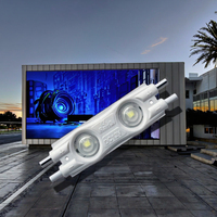 Module LED étanche 12V SMD2835 2LED IP65 160 degrés pour enseignes lumineuses publicitaires