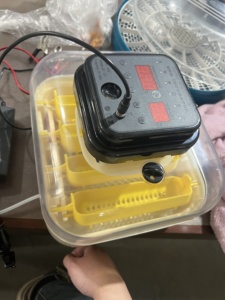 Incubateur de haute qualité Machine <span class=keywords><strong>à</strong></span> couver les œufs Capacité intelligente automatique 16 œufs Mini incubateur <span class=keywords><strong>à</strong></span> <span class=keywords><strong>vendre</strong></span> - Product Image 5