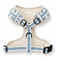 Ensemble Harnais pour Chien en Coton Tendance avec Broderie Coquillage, Gilet Rayé, Laisse, Collier et Nœud Papillon – Réglable, Respirant, OEM pour Animaux de Compagnie