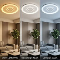 Plafonnier LED moderne motif cœur d'amour pour chambre romantique, lumière douce et variable en intensité, directement de l'usine de Zhongshan, vente en gros