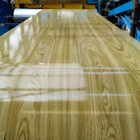 Bobine d'acier prépeint PPGI à grain de bois de haute qualité, imprimée, largeur personnalisée pour la fabrication de meubles