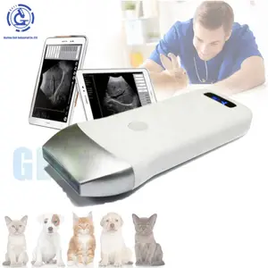 Klinik görüntüleme teşhis köpek ultrason veteriner kullanımı kablosuz B ultrason makinesi