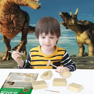 oem hot product educational set diy interesting toys dig dino skeleton assembly 5 in 1 dino dig kit toy