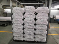 BH haute qualité 100% polyester colle adhésive 45g chaîne tricoté entoilage fusible PES PA entoilage tricoté