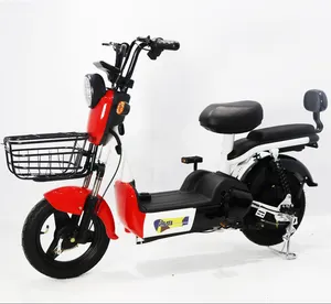 Factory Sale Big Power Enduro E-Bike 350w 2 Rad 14 Zoll Elektro fahrrad mit größerer Batterie
