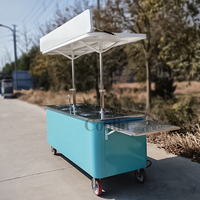 Kiosque mobile pliable de chariot de boisson d'affichage de nourriture de table de dessert de partie avec l'évier