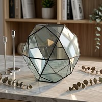 Vas Tanaman Sukulen Mini Terarium Kaca Geometris Wadah Lanskap Mikro Grosir Pesanan Campuran Dekorasi Meja Rumah