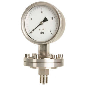 सस्ती कीमत चीन स्टेनलेस स्टील में बने सर्वश्रेष्ठ डायाफ्राम सील दबाव गेज - Product Image 2