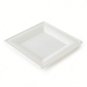 Assiettes jetables compostables en pulpe de canne à sucre, vaisselle biodégradable, assiettes en bagasse - Product Image 2