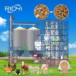 Richi 8-12t/h Thức ăn viên dây chuyền sản xuất thức ăn chăn nuôi gà nhà máy cho chăn nuôi gia cầm - Product Image 1