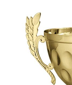 จีนผลิตเกมกีฬาชิงแชมป์ถ้วยรางวัลถ้วยโลหะที่กำหนดเองถ้วยแววถ้วยรางวัล - Product Image 2