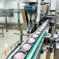 Ligne de production automatique de viande en conserve ENAK pour la fabrication de corned-beef, de poulet et de porc