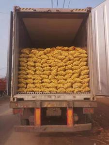 Nouvelle récolte <span class=keywords><strong>de</strong></span> pommes <span class=keywords><strong>de</strong></span> terre fraîches jaunes vente <span class=keywords><strong>de</strong></span> gros légumes frais nouvelle saison vente <span class=keywords><strong>de</strong></span> gros pommes <span class=keywords><strong>de</strong></span> terre fraîches <span class=keywords><strong>prix</strong></span> pas cher - Product Image 5
