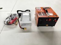 Kompresor Udara 300W Kompresor Udara Pcp Pompa Senapan Angin Pompa Mobil 12V / 110V / 220V Pcp 300bar Pompa Submersible