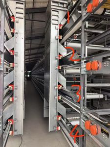 Gabbia di pollame per allevamenti di polli 2000 - Product Image 2