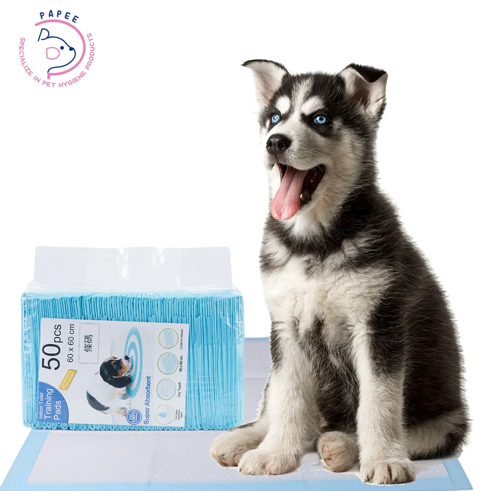 S-XL coussinets d'entraînement de pot pour chien de haute qualité toilettes pour chien jetables écologiques 5 couches coussinets de pipi pour chien Super absorbants