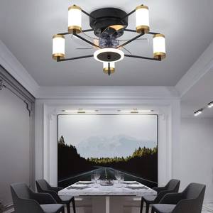 <b>Modern</b> 5-Blade Invisible <b>Ceiling</b> <b>Fan</b>, 3000K-6500K Dimmable LED, 6-Speed Quiet DC Motor, Metal Body & Remote APP Control - Product Image 3