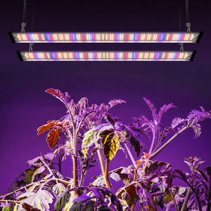Tira de Luz <span class=keywords><strong>LED</strong></span> Lineal de Espectro Completo Profesional de 50w 70W 100W 200W Equivalente para Cultivo en Invernaderos Comerciales - Product Image 1