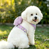 Harnais pour chien en maille anti-poils avec décorations amovibles en peluche monstre, mignon et tendance, ensemble gilet et laisse pour petits chiens en nylon