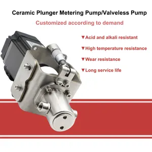 Micro Addition Quantitative Filling Valveless Plunger Pump Adjustable Dosing Ceramic Liquid Injection Metering Pump