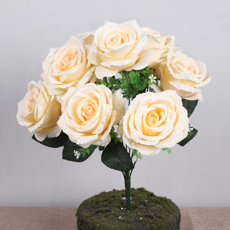 10 หัว, 47 ซม.