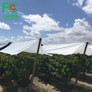 Suministro <span class=keywords><strong>DE</strong></span> FÁBRICA <span class=keywords><strong>DE</strong></span> China Fengcheng Best Sell Cherry Vine Sandía Cubierta Invernadero Película plástica para uva Fresa Huerto - Product Image 6