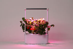 Sistemas de Cultivo Hidropónico Inteligentes para Interiores, para el Crecimiento de Plantas en el Hogar, Kit de Cultivo Hidropónico - Product Image 5